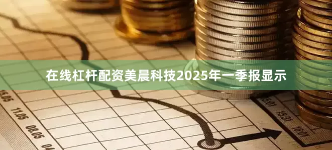 在线杠杆配资美晨科技2025年一季报显示