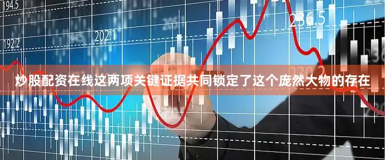 炒股配资在线这两项关键证据共同锁定了这个庞然大物的存在
