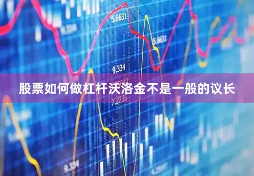 股票如何做杠杆沃洛金不是一般的议长