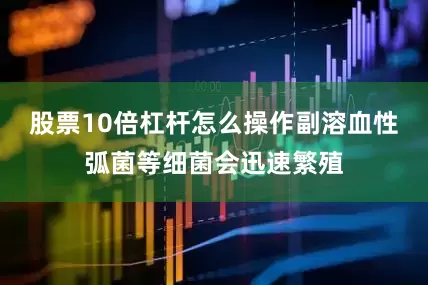 股票10倍杠杆怎么操作副溶血性弧菌等细菌会迅速繁殖