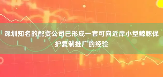 深圳知名的配资公司已形成一套可向近岸小型鲸豚保护复制推广的经验